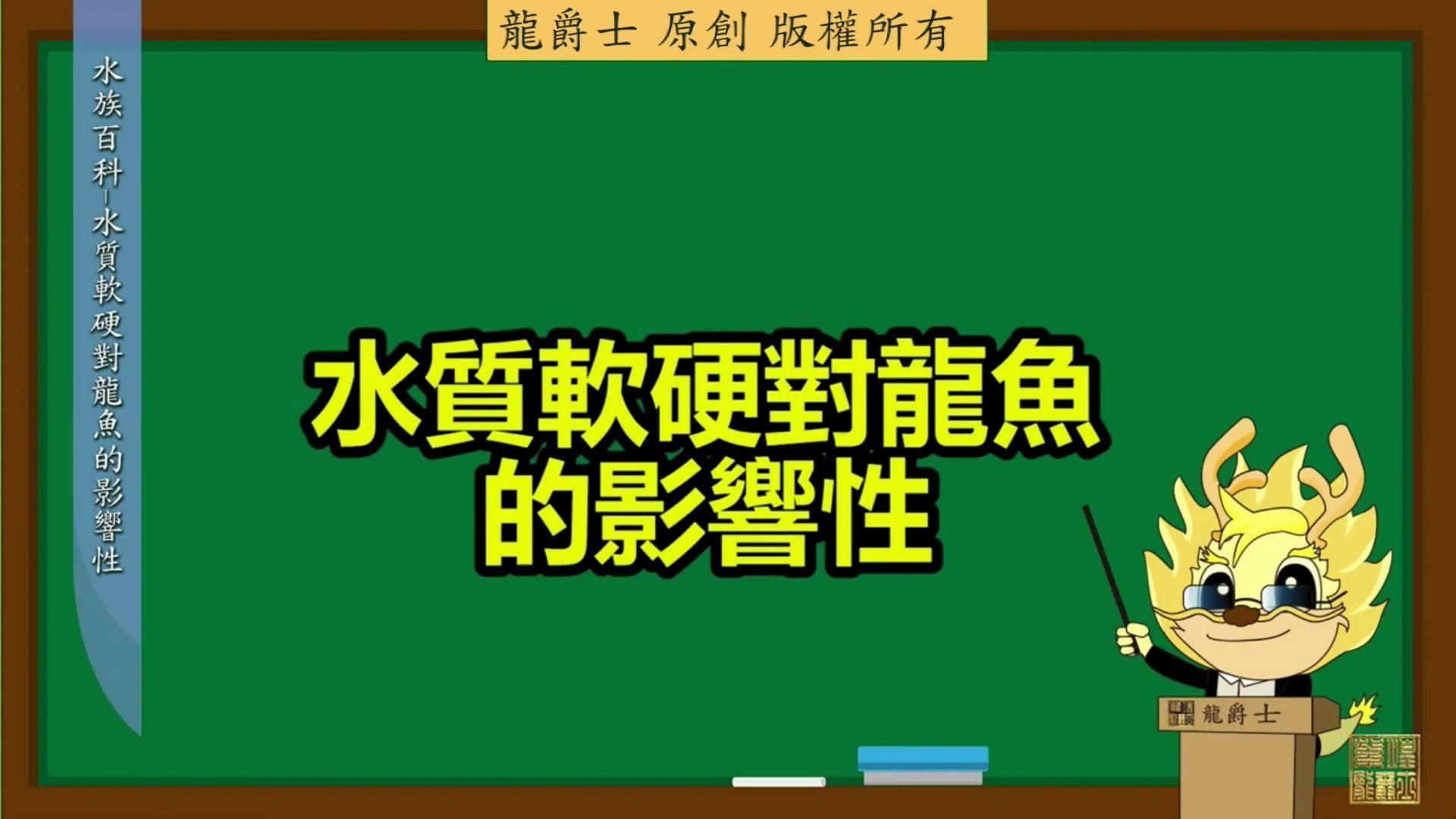 龍魚需要哪些特定的水質參數，關于龍魚飼養中水質的一些問題