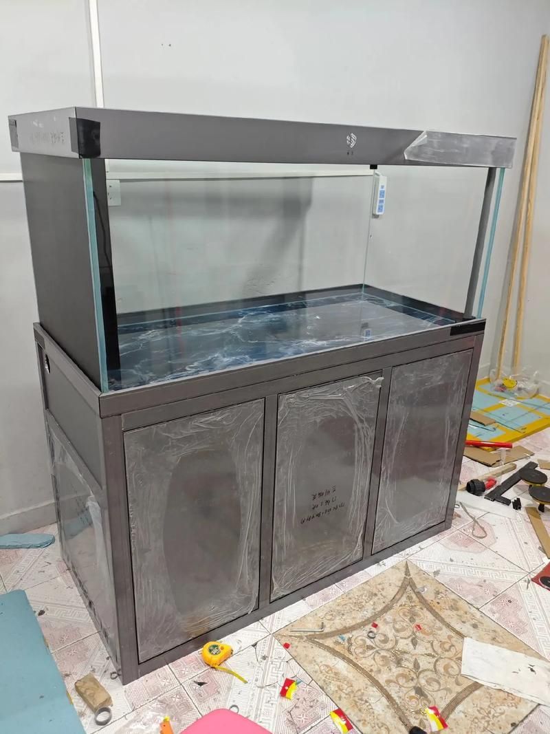 如何為兇猛觀賞魚選擇合適的魚缸