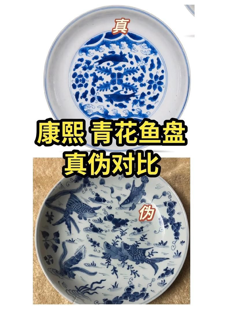 如何為青花龍魚繁殖做準備，青花龍魚繁殖封閉式靜水詳解如何為青花龍魚繁殖做準備