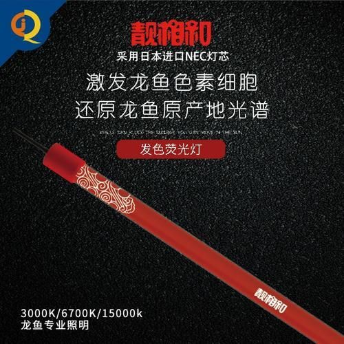給我推薦幾款適合龍魚的燈管，幾款適合龍魚的燈管推薦