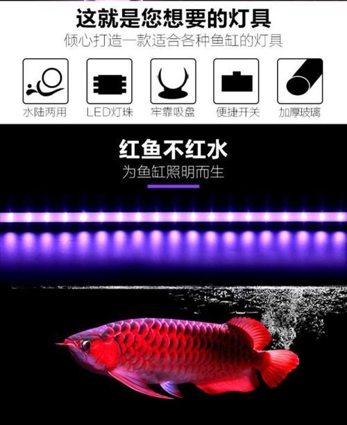 給我推薦幾款適合龍魚的燈管，幾款適合龍魚的燈管推薦