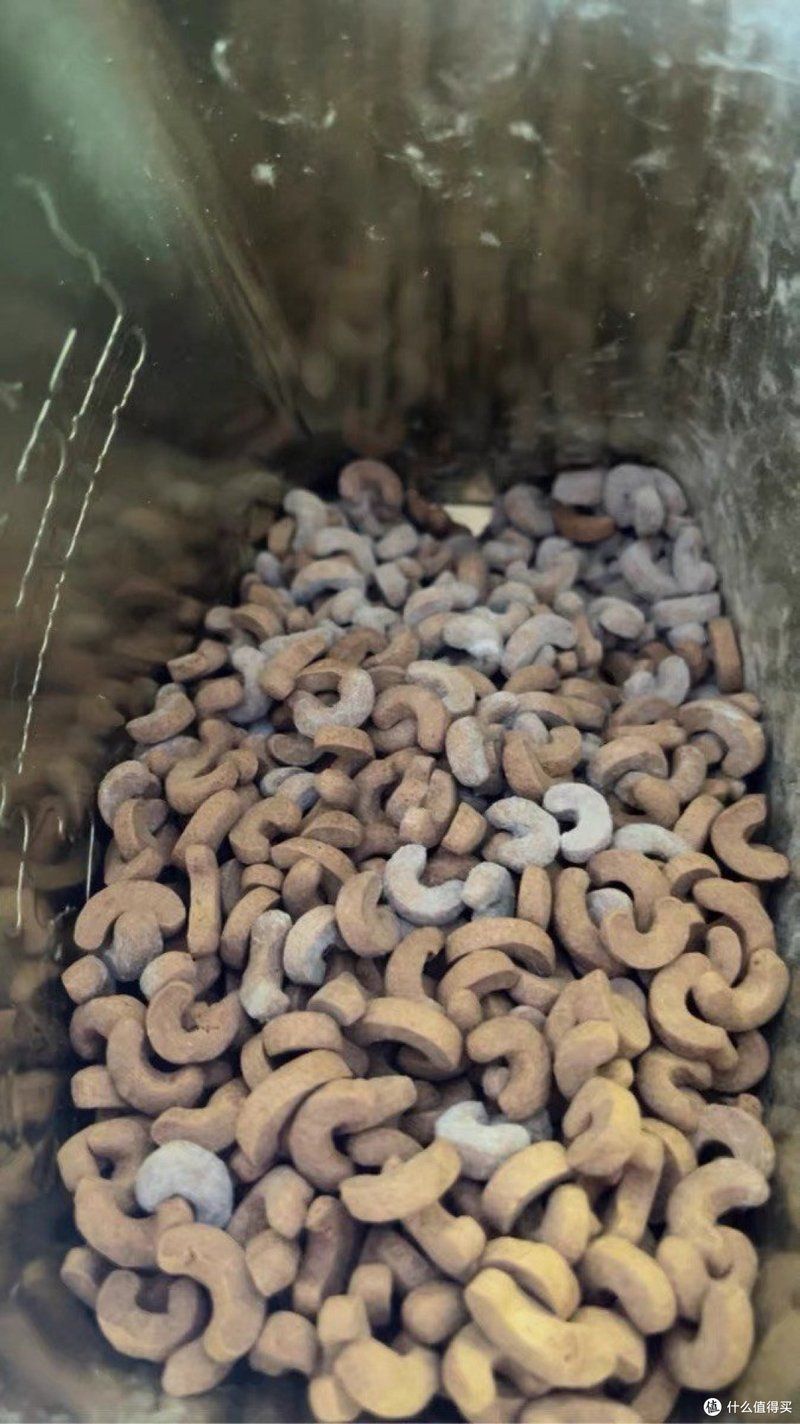 給我推薦一些亞洲龍魚的飼養工具，亞洲龍魚飼養工具推薦