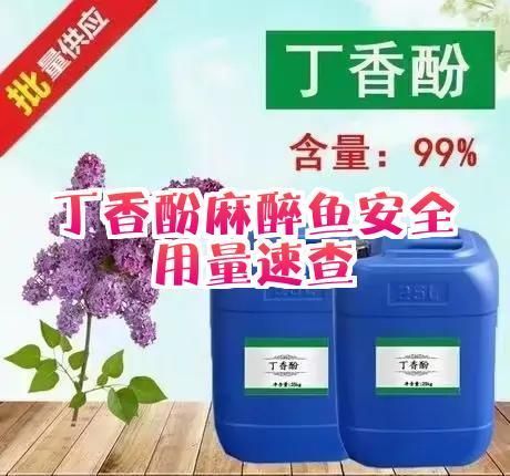 丁香酚麻醉龍魚的具體步驟是什么