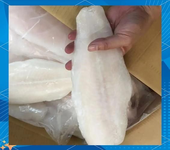 鯧魚和龍利魚哪個更受歡迎，鯧魚和龍利魚哪個更受歡迎鯧魚和龍利魚哪個更受歡迎