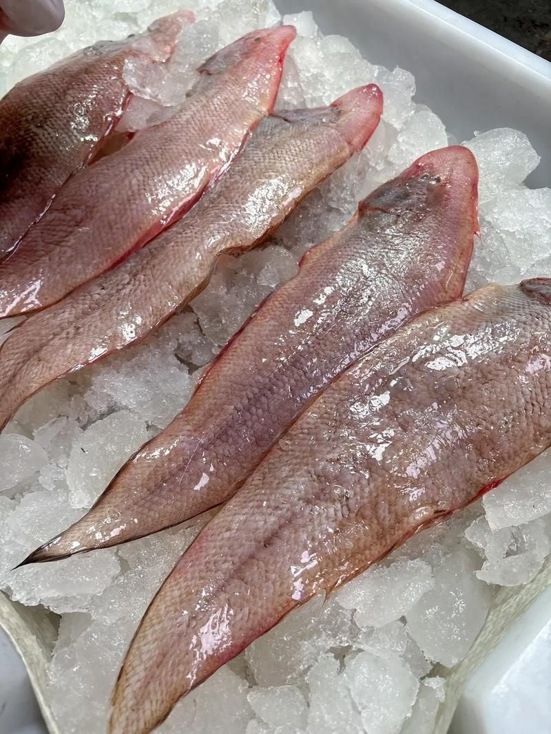 鯧魚和龍利魚哪個更受歡迎，鯧魚和龍利魚哪個更受歡迎鯧魚和龍利魚哪個更受歡迎