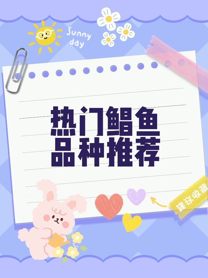 鯧魚和龍利魚哪個更受歡迎，鯧魚和龍利魚哪個更受歡迎鯧魚和龍利魚哪個更受歡迎