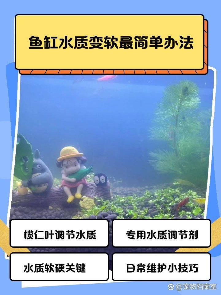 如何調整魚缸水的硬度 如何調整魚缸水的硬度 龍魚百科 第2張