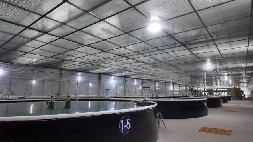 定西市有哪些觀賞魚養殖基地，定西市觀賞魚養殖基地
