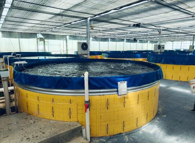 定西市有哪些觀賞魚養殖基地，定西市觀賞魚養殖基地