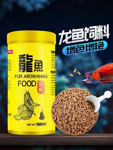 有哪些飼料適合短身紅龍魚，仟湖ofg1小粒顆粒飼料金龍魚增色成長(zhǎng)