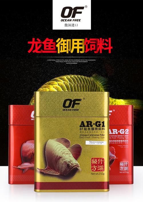 有哪些飼料適合短身紅龍魚，仟湖ofg1小粒顆粒飼料金龍魚增色成長(zhǎng)