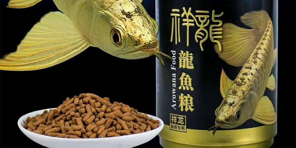 祥龍魚場金龍魚的品質如何，如何辨別祥龍魚場金龍魚的真偽？