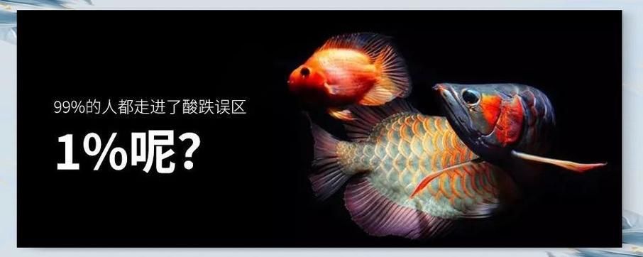 如何判斷龍魚燈是否適合我的龍魚，判斷龍魚燈是否適合您的龍魚，需要綜合考慮多個因素