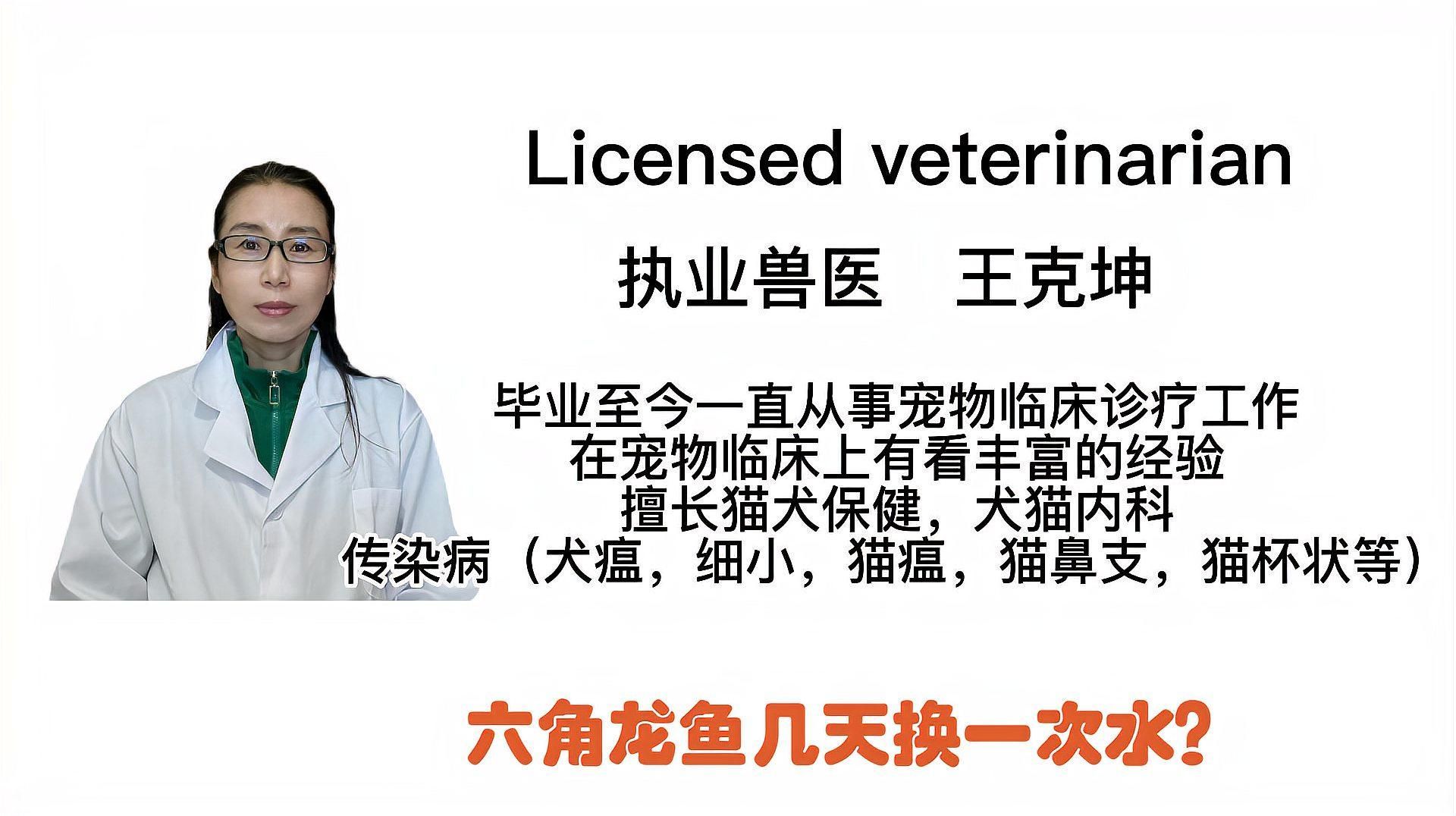 六角龍魚多久換一次水，六角龍魚幾天換一次水