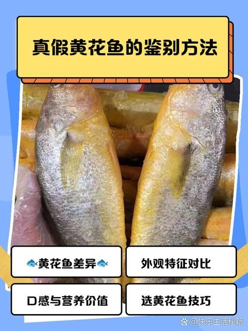 給我一些鑒別黃山龍魚真偽的圖片
