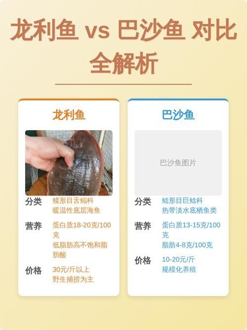 蚌山龍魚和龍利魚哪個更有營養，如何區分蚌山龍魚和龍利魚？