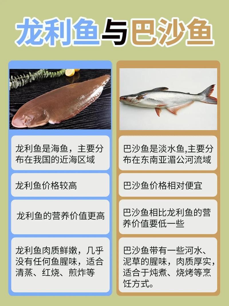 蚌山龍魚和龍利魚哪個更有營養，如何區分蚌山龍魚和龍利魚？