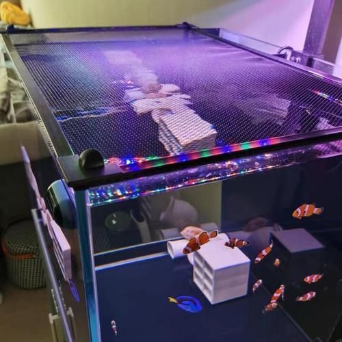 給我推薦一些預防龍魚夜間亂竄的產(chǎn)品，yee磁吸式魚缸防跳網(wǎng)龍魚夜間亂竄yee或旭杉斯