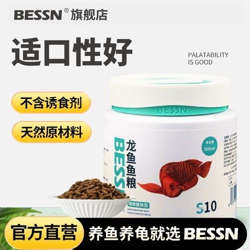 有哪些專業龍魚飼料推薦，專業龍魚飼料的選擇