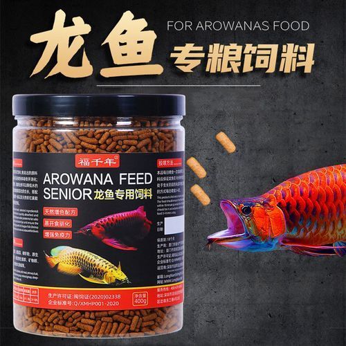 有哪些專業龍魚飼料推薦，專業龍魚飼料的選擇