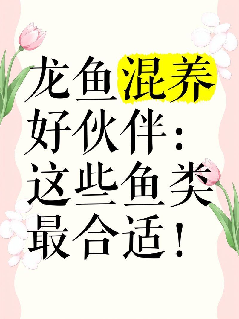 有哪些適合與龍魚混養的魚類，適合與龍魚混養的魚類