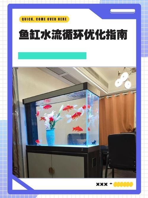 能否提供龍魚缸水流最佳狀態的圖片示例，魚缸水流最佳狀態的圖片示例