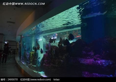 魚缸百科，魚缸布局圖
