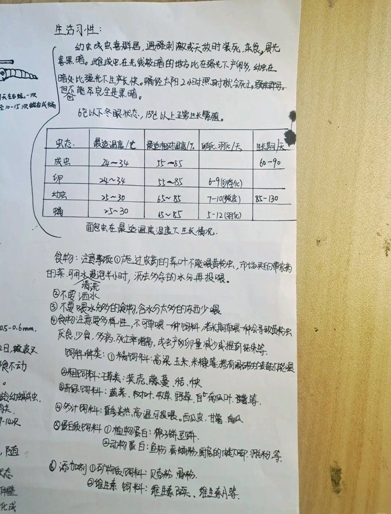 如何搭配面包蟲和其他飼料，面包蟲的飼養(yǎng)與飼料配方指南