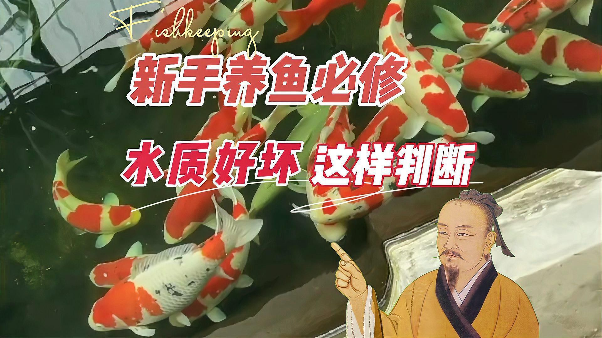 如何判斷魚缸水是否適合養(yǎng)魚，判斷魚缸水是否適合養(yǎng)魚，不能只看“水清不清”