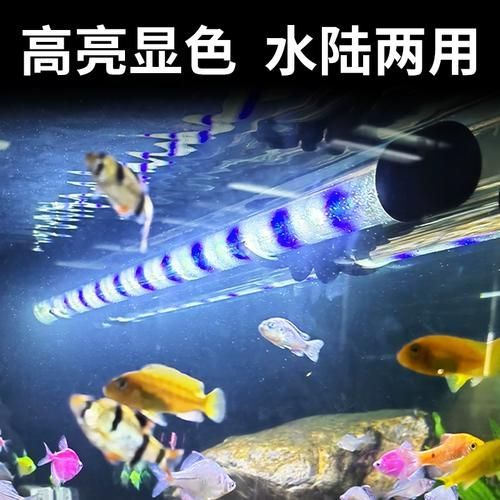 森森雙排LED燈有哪些型號可選，森森雙排led燈哪個型號最好森森雙排led燈哪個型號最好