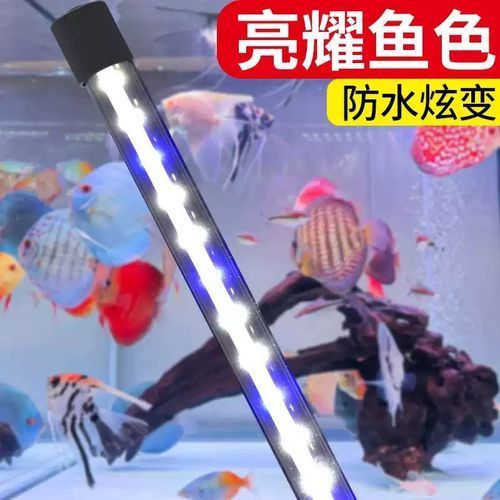 森森雙排LED燈有哪些型號可選，森森雙排led燈哪個型號最好森森雙排led燈哪個型號最好