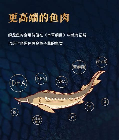 2025年11月鱘龍魚的需求量如何？，2025年11月鱘龍魚的需求量呈現出顯著的增長趨勢