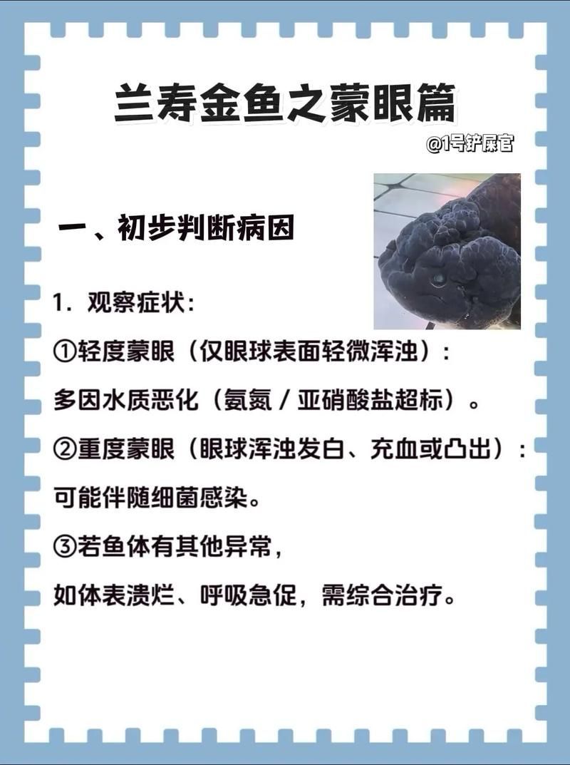 給我一些區分蒙眼病和鰓蟲感染的圖片，如何區分蒙眼病和鰓蟲感染？