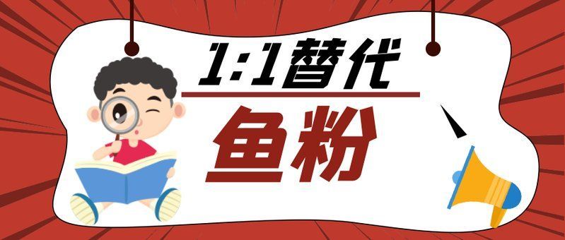 有哪些替代蝦仁的飼料推薦