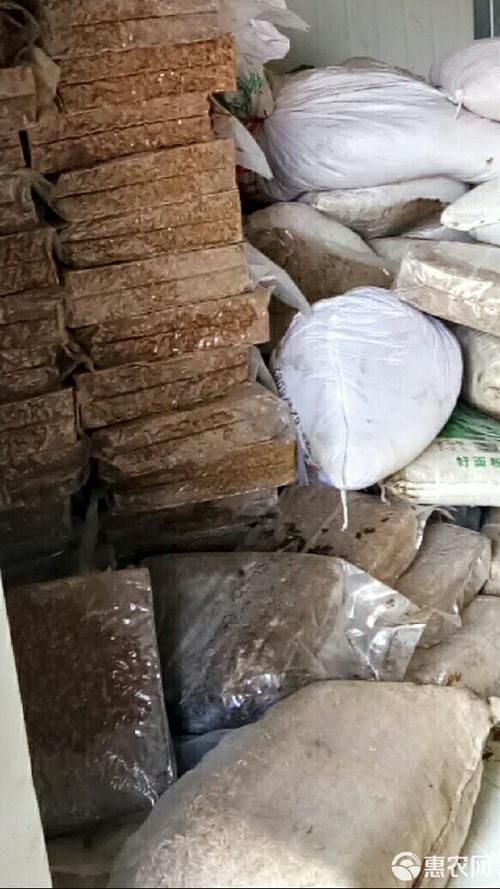 有哪些替代蝦仁的飼料推薦