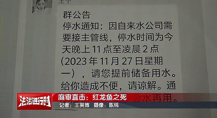 如何鑒別真假金龍魚祥龍魚場，“祥龍魚場”鑒別真假金龍魚祥龍魚場的鑒別指南 如何鑒別真假金龍魚祥龍魚場，“祥龍魚場”鑒別真假金龍魚祥龍魚場的鑒別指南 龍魚百科 第9張