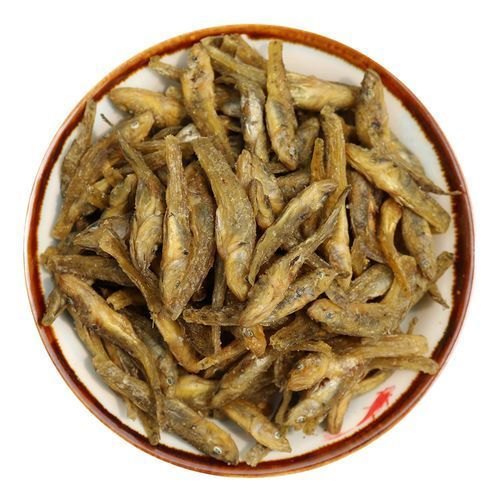 給我一些巨龍魚的市場價格數據，巨龍魚市場價格趨勢