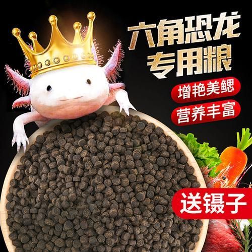 有哪些推薦的六角恐龍魚飼料，六角恐龍飼料值得推薦三類飼料最值得推薦的三類飼料