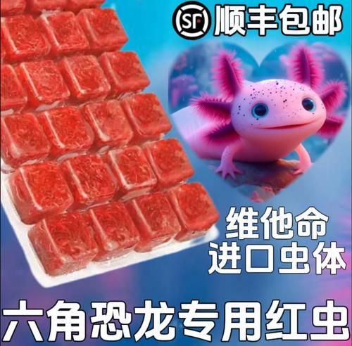 有哪些推薦的六角恐龍魚飼料，六角恐龍飼料值得推薦三類飼料最值得推薦的三類飼料