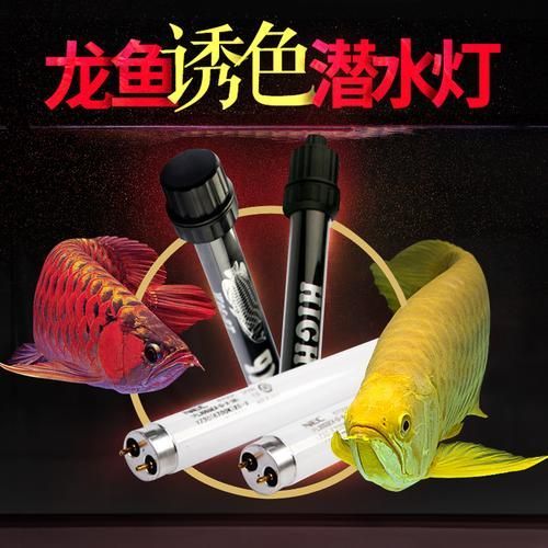 博特水族燈管有哪些型號可選，博特水族燈管型號分類及特點詳解