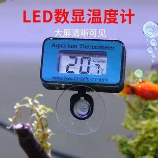 如何調節龍魚缸的水溫？，如何調整龍魚缸的水溫
