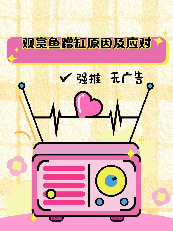 龍魚用嘴蹭缸應該如何解決，如何解決龍魚用嘴蹭缸的問題？