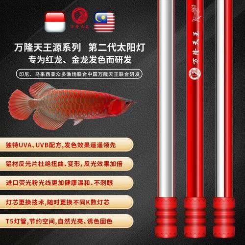給我一些鑒別萬隆龍魚的真偽和品質的圖片，如何鑒別萬隆龍魚的真偽與品質？