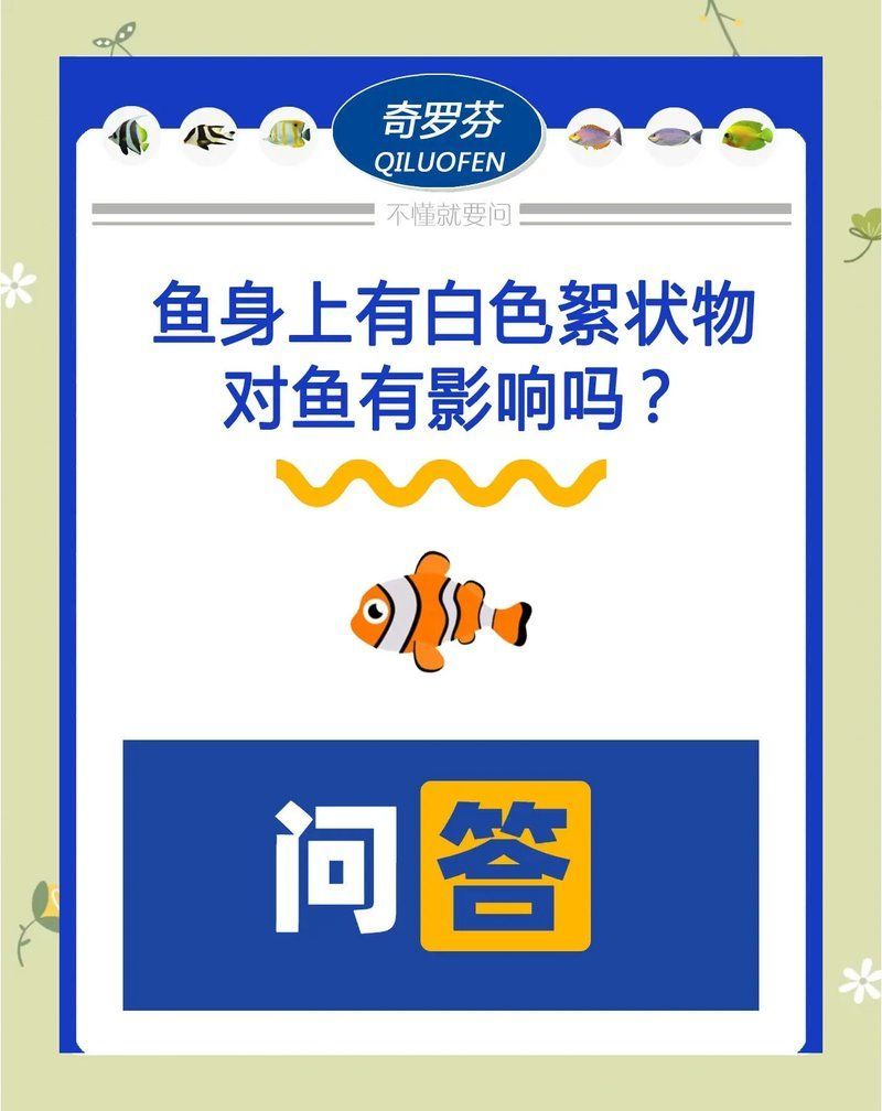 如何判斷六角恐龍魚水霉病是否好轉，六角恐龍魚水霉病好轉后還需要治療嗎？