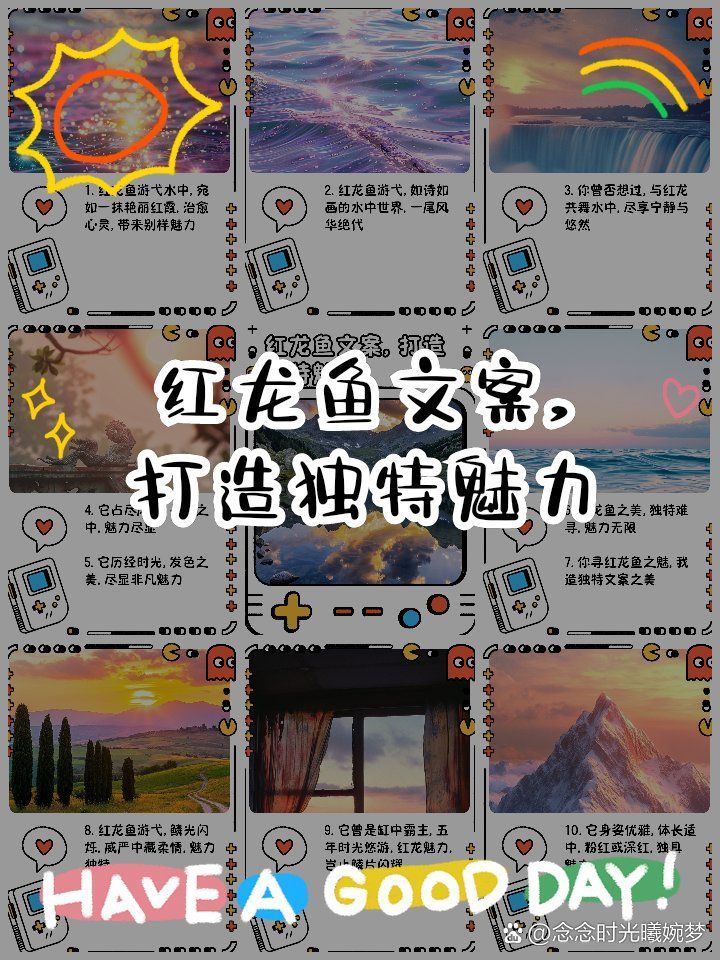 再給我?guī)讉€(gè)紅龍魚的經(jīng)典語(yǔ)錄，關(guān)于紅龍魚的經(jīng)典語(yǔ)錄