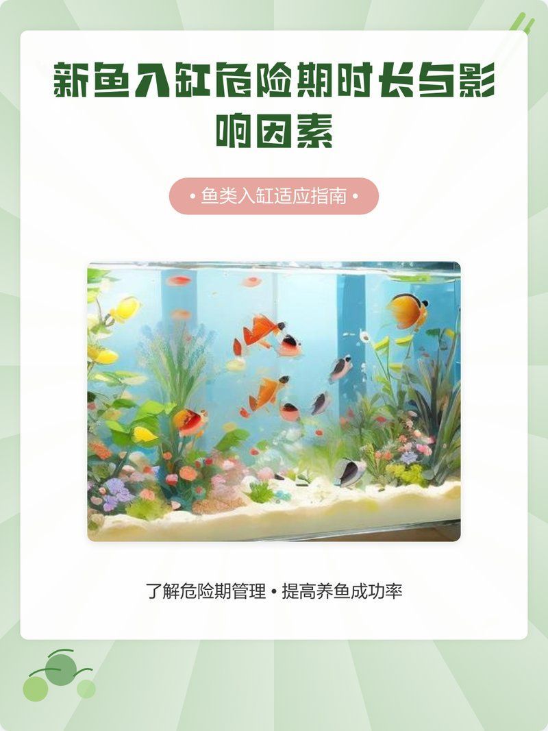 如何判斷龍魚是否適應(yīng)了新背景，如何判斷龍魚是否適應(yīng)新環(huán)境