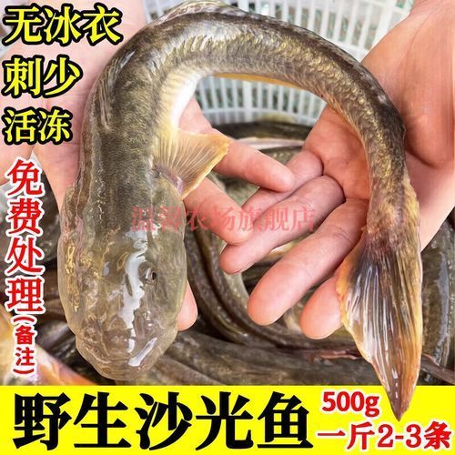 小龍魚產品有哪些包裝規格，小龍魚產品有哪些包裝規格小龍魚產品有哪些
