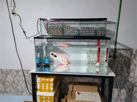 如何判斷龍魚缸出水口是否合適？，判斷龍魚缸出水口是否合適是養護龍魚的關鍵一步