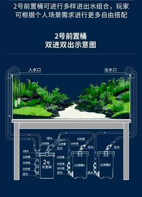如何配置白子龍魚的水族箱，白子龍魚水族箱配置