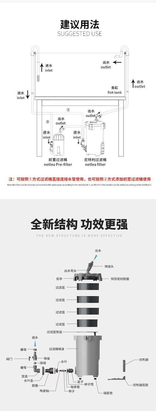 如何配置白子龍魚的水族箱，白子龍魚水族箱配置